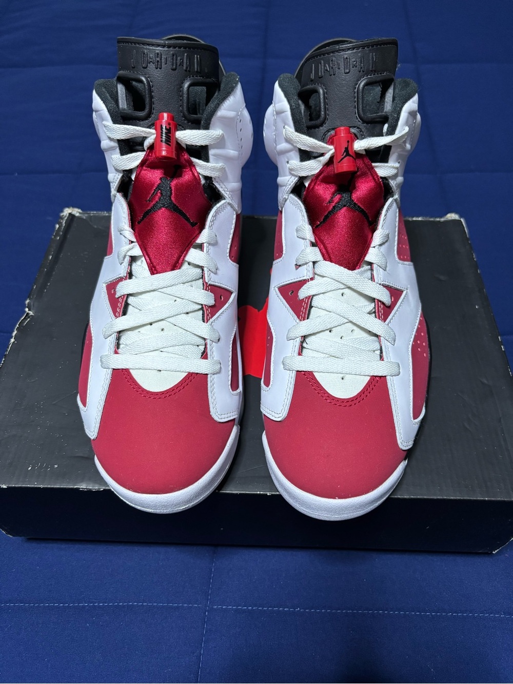 Jordan 6 Retro OG Carmine 2021 Size 9.5